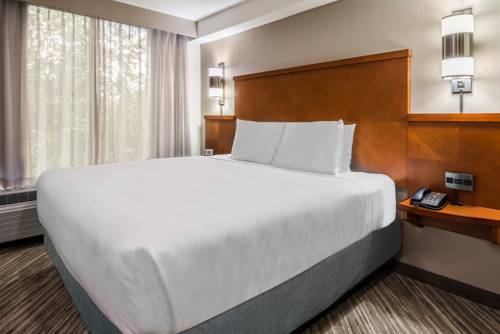 Imagen de la habitación del Hotel Hyatt Place Atlanta Duluth Johns Creek. Foto 9