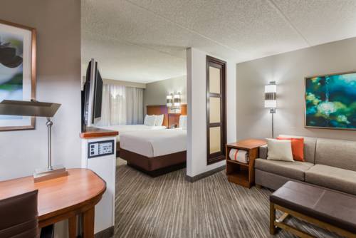 Imagen de la habitación del Hotel Hyatt Place Atlanta Duluth Johns Creek. Foto 15