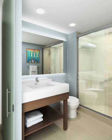 Imagen de la habitación del Hotel Hyatt Place Austin Airport. Foto 11