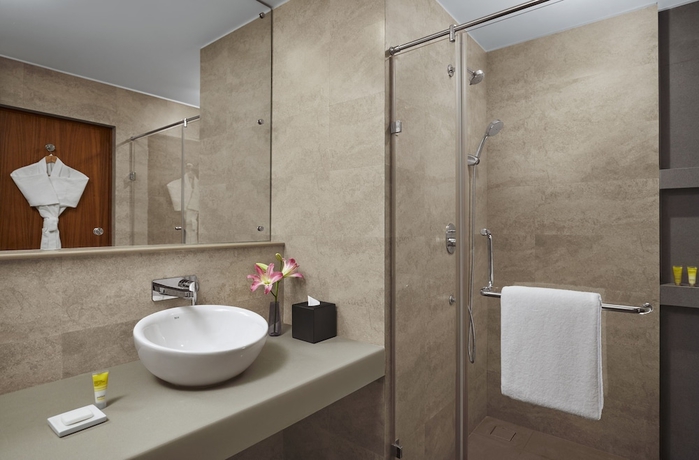 Imagen de la habitación del Hotel Hyatt Place Bodh Gaya. Foto 17