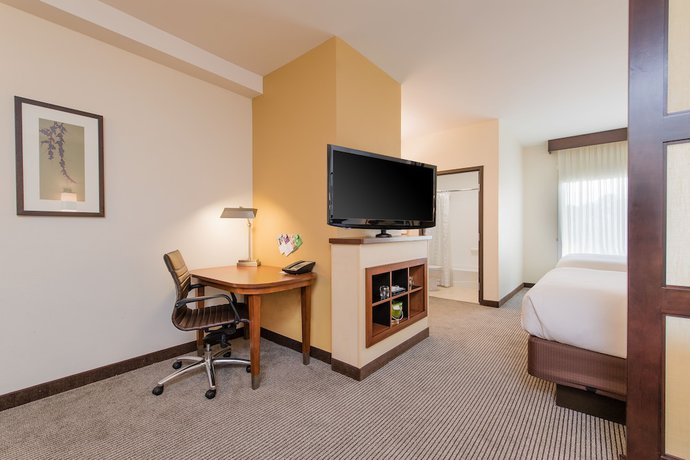 Imagen de la habitación del Hotel Hyatt Place Charleston Airport/Convention Center. Foto 13
