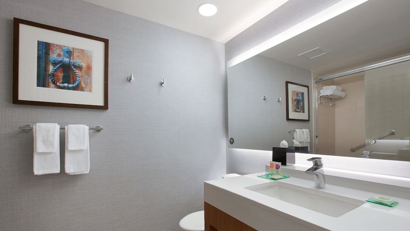 Imagen de la habitación del Hotel Hyatt Place Chicago-south/university Medical Center. Foto 12