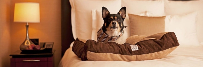 Imagen general del Hotel Hyatt Place Chicago-south/university Medical Center. Foto 2