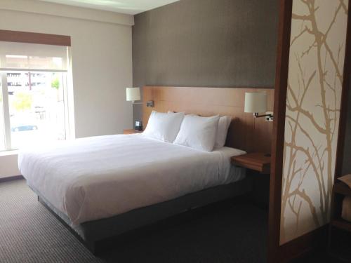 Imagen de la habitación del Hotel Hyatt Place Columbia/downtown/the Vista. Foto 9