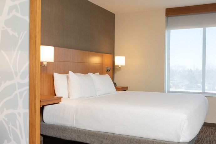 Imagen de la habitación del Hotel Hyatt Place Detroit Royal Oak. Foto 3