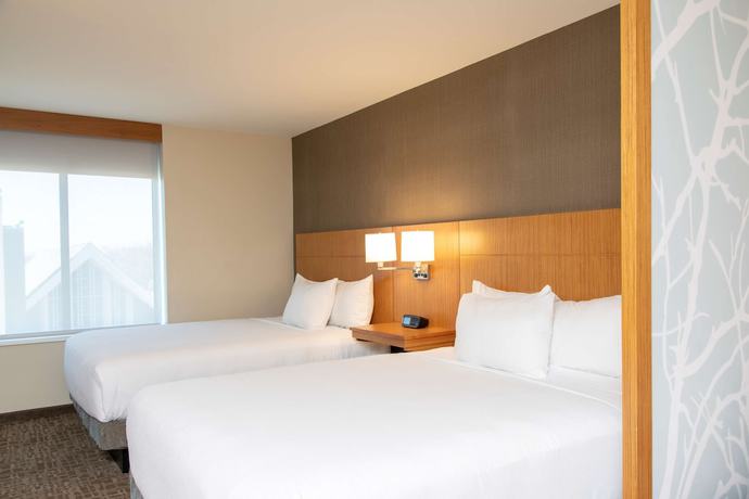 Imagen de la habitación del Hotel Hyatt Place Detroit Royal Oak. Foto 10