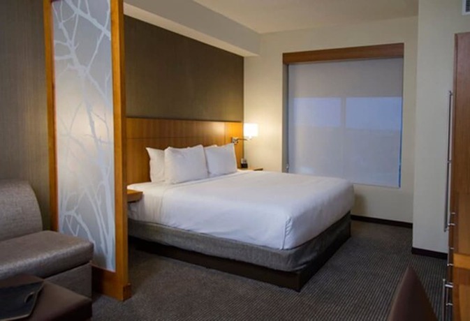 Imagen de la habitación del Hotel Hyatt Place Detroit/novi. Foto 4