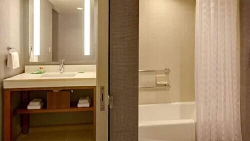 Imagen de la habitación del Hotel Hyatt Place Detroit/novi. Foto 7