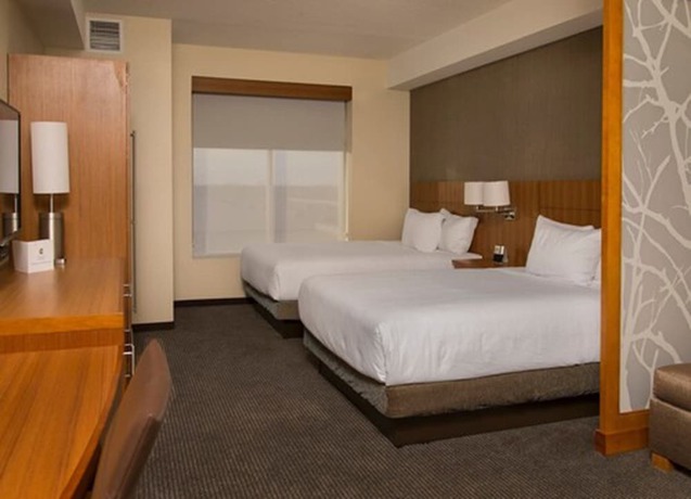 Imagen de la habitación del Hotel Hyatt Place Detroit/novi. Foto 8