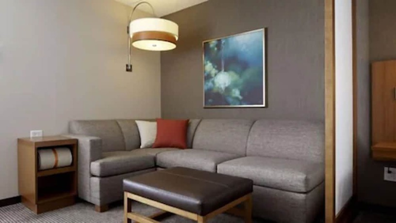 Imagen de la habitación del Hotel Hyatt Place Detroit/novi. Foto 9