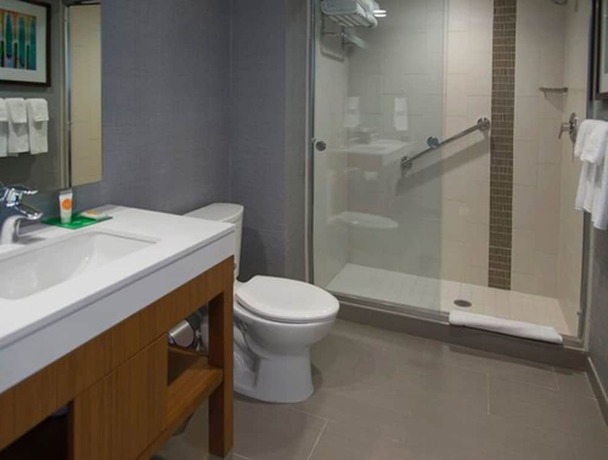 Imagen de la habitación del Hotel Hyatt Place Detroit/novi. Foto 11