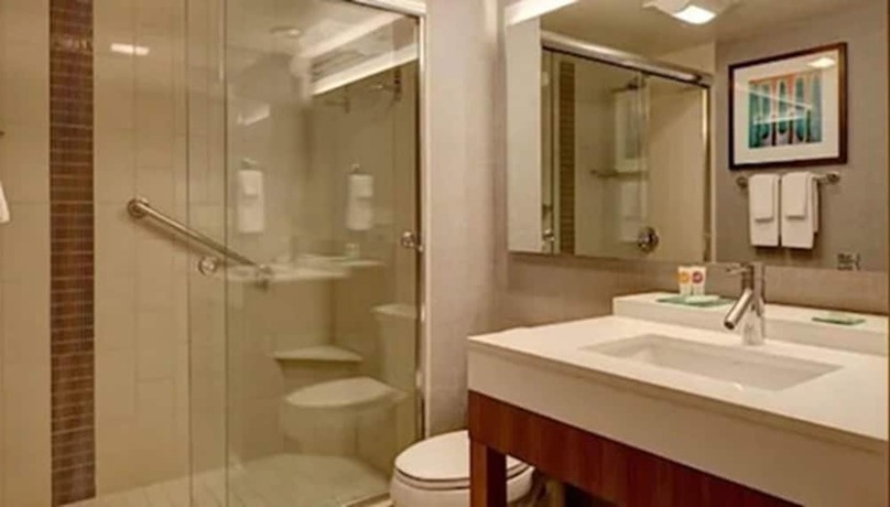Imagen de la habitación del Hotel Hyatt Place Detroit/novi. Foto 15
