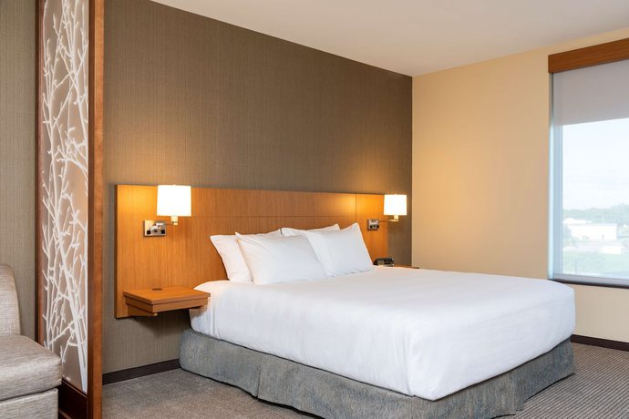 Imagen de la habitación del Hotel Hyatt Place Flint / Grand Blanc. Foto 15