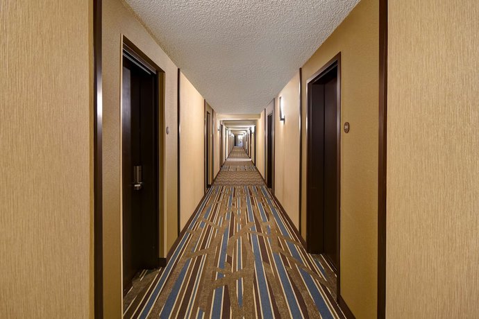 Imagen de la habitación del Hotel Hyatt Place Gilbert. Foto 6