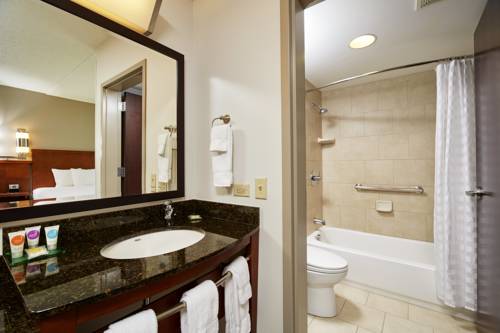 Imagen de la habitación del Hotel Hyatt Place Grand Rapids-south. Foto 3