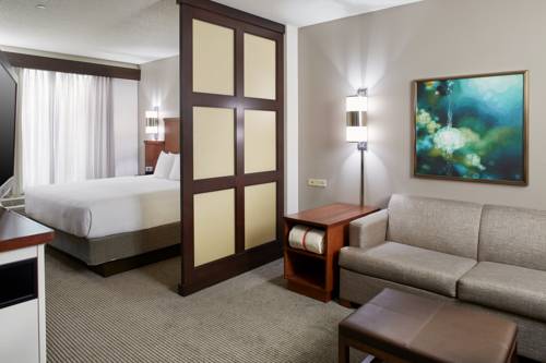 Imagen de la habitación del Hotel Hyatt Place Grand Rapids-south. Foto 14