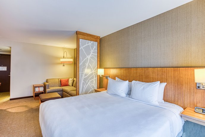 Imagen de la habitación del Hotel Hyatt Place Greensboro/downtown. Foto 9