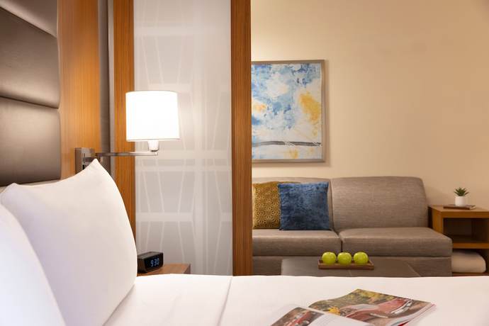 Imagen de la habitación del Hotel Hyatt Place Houston Downtown. Foto 14