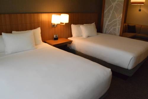 Imagen de la habitación del Hotel Hyatt Place Houston / The Woodlands. Foto 3