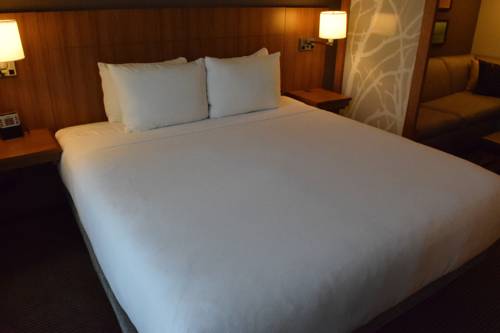 Imagen de la habitación del Hotel Hyatt Place Houston / The Woodlands. Foto 6