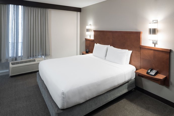 Imagen de la habitación del Hotel Hyatt Place Jacksonville Airport. Foto 16