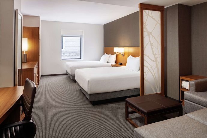 Imagen de la habitación del Hotel Hyatt Place Knoxville Downtown. Foto 9