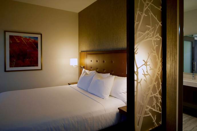 Imagen de la habitación del Hotel Hyatt Place Las Vegas at Silverton Village. Foto 3