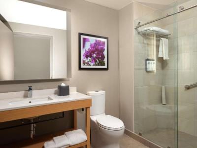 Imagen de la habitación del Hotel Hyatt Place Monterrey Valle. Foto 6