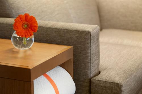 Imagen de la habitación del Hotel Hyatt Place Niagara Falls. Foto 6