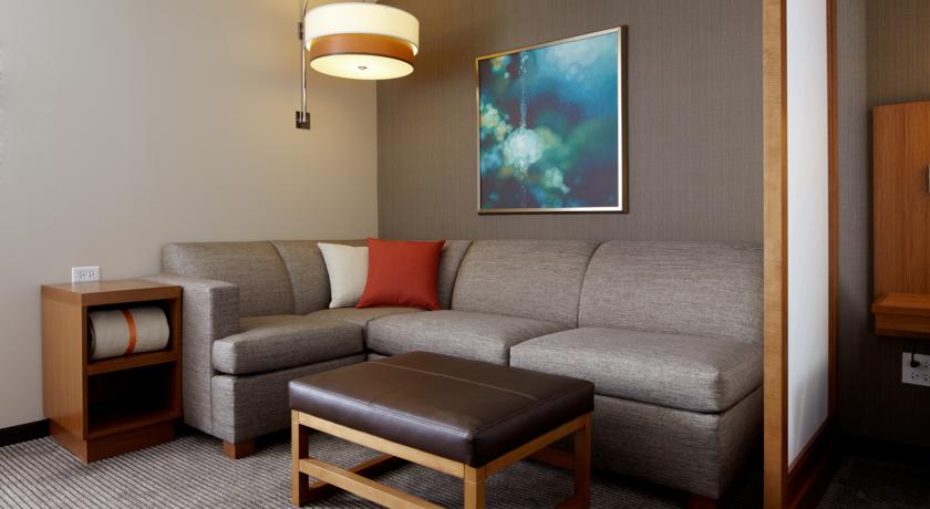 Imagen general del Hotel Hyatt Place Orlando/lake Buena Vista. Foto 6