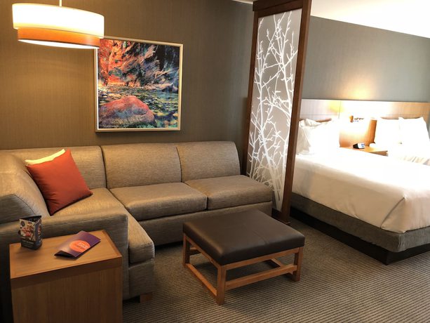 Imagen de la habitación del Hotel Hyatt Place St George/convention Center. Foto 3