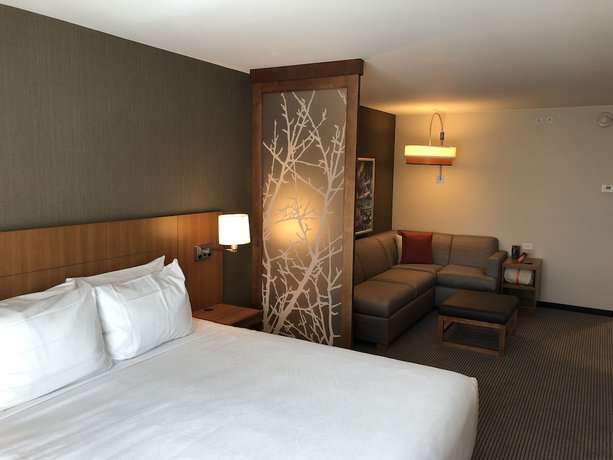 Imagen de la habitación del Hotel Hyatt Place St George/convention Center. Foto 6