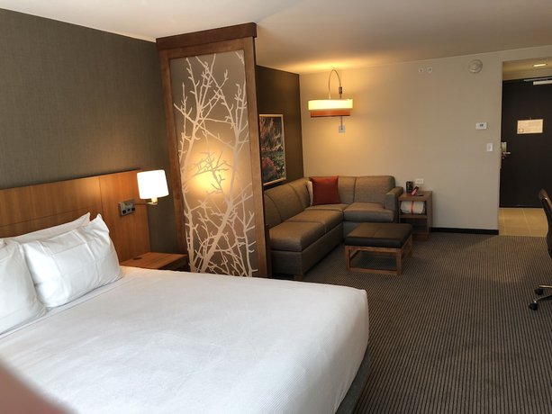 Imagen de la habitación del Hotel Hyatt Place St George/convention Center. Foto 11