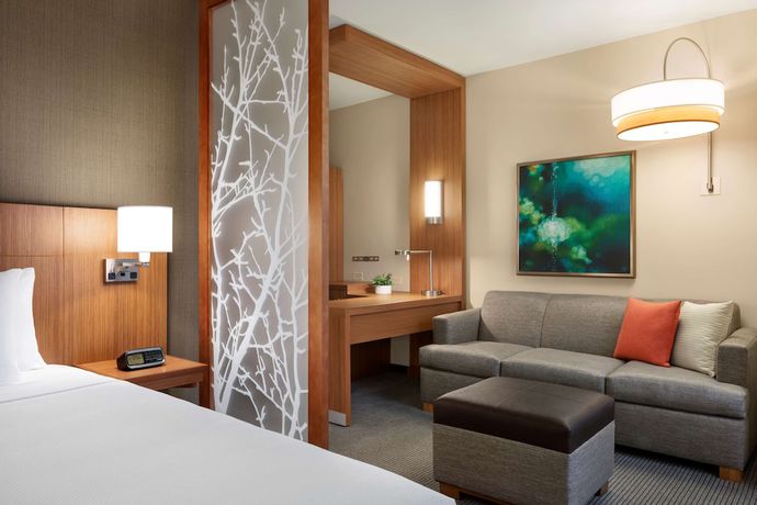 Imagen de la habitación del Hotel Hyatt Place Virginia Beach Town Center. Foto 6