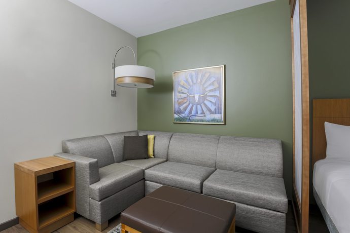 Imagen de la habitación del Hotel Hyatt Place Waco. Foto 12