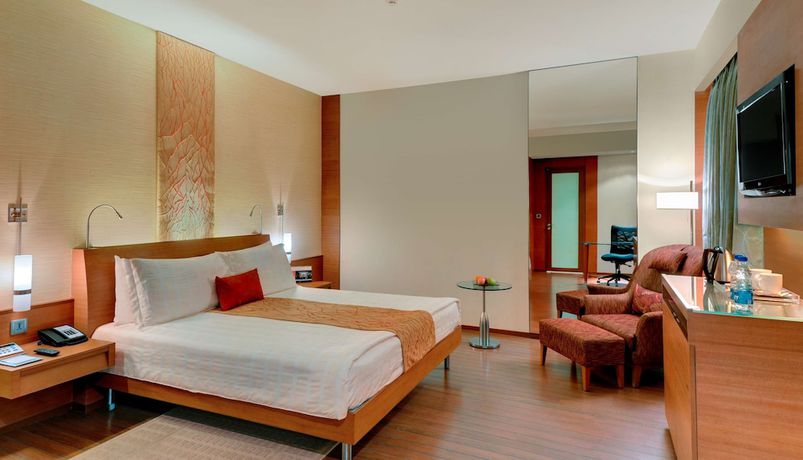 Imagen de la habitación del Hotel Hyatt Pune. Foto 11