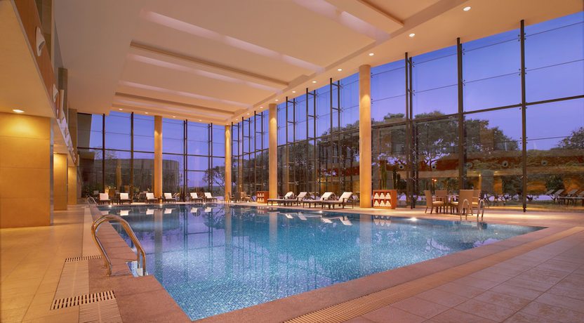 Imagen de la piscina del Hotel Hyatt Regency Dongguan. Foto 19