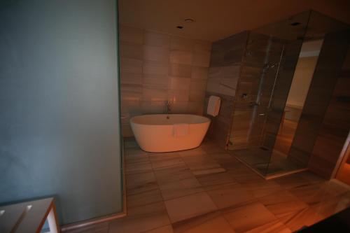 Imagen de la habitación del Hotel Hyatt Regency Dushanbe. Foto 7