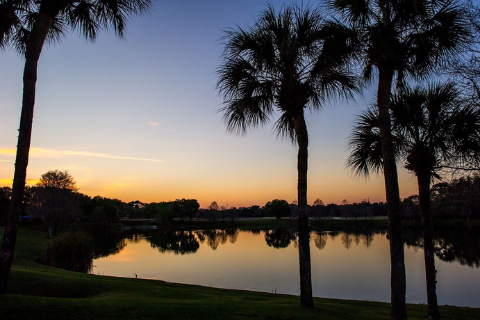 Imagen de los exteriores del Hotel Hyatt Regency Grand Cypress. Foto 8