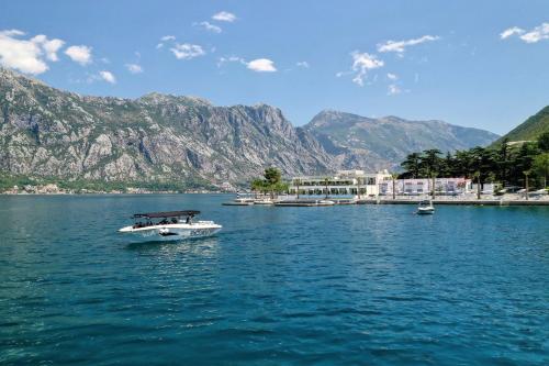 Imagen general del Hotel Hyatt Regency Kotor Bay Resort. Foto 8
