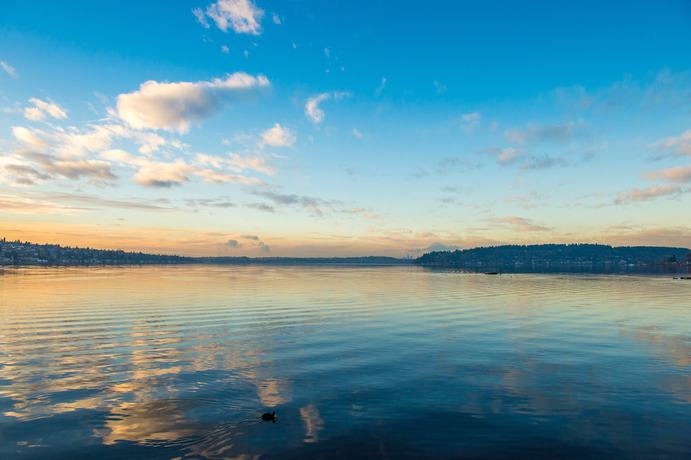 Imagen general del Hotel Hyatt Regency Lake Washington At Seattle&rsquo;s Southport. Foto 1