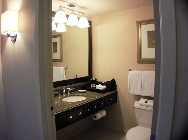 Imagen de la habitación del Hotel Hyatt Regency Reston. Foto 10