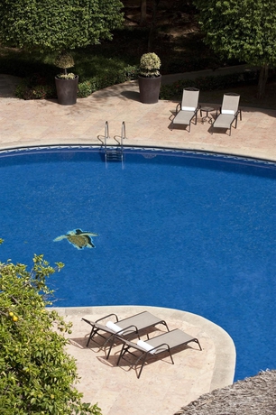Imagen de la piscina del Hotel Hyatt Regency Villahermosa. Foto 16