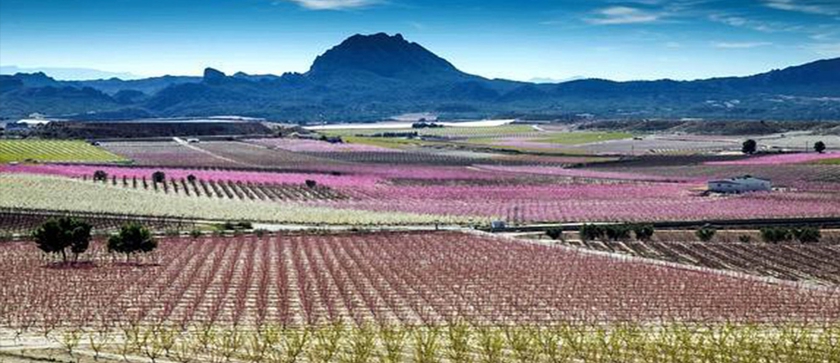 Imagen de los exteriores del Hotel Hyltor. Foto 12