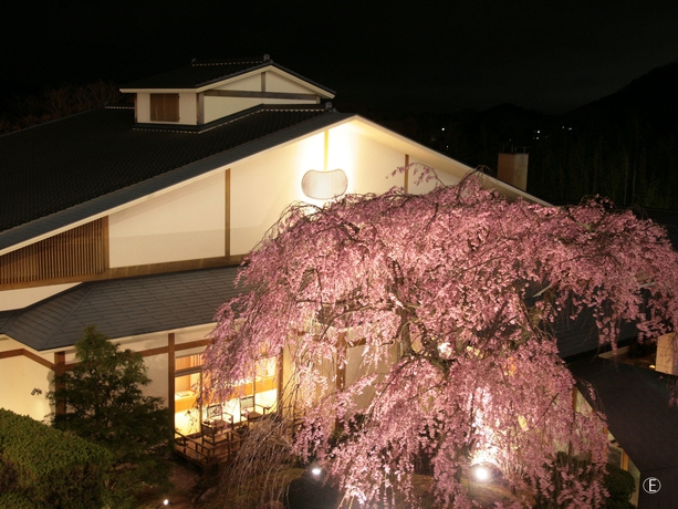 Imagen general del Hotel Hyoe Koyokaku. Foto 2