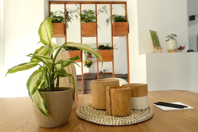 Imagen general del Hotel Hypnos Boutique. Foto 10