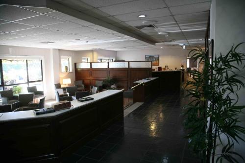 Imagen general del Hotel IBIS STYLES ADELAIDE MANOR. Foto 3