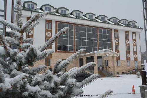 Imagen general del Hotel ICEBERG OTEL SARIKAMIŞ. Foto 1
