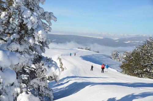 Imagen general del Hotel ICEBERG OTEL SARIKAMIŞ. Foto 5