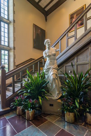 Imagen de los interiores del Hotel IU Biddle. Foto 20